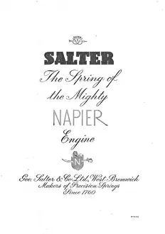Salters: Salters Springs
