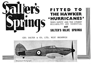 Salter: Salters Springs