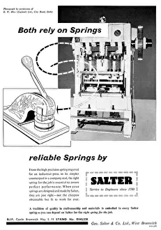 Salter: Salter's Springs