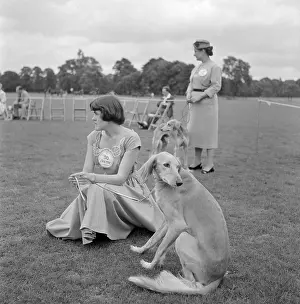 Handlers: Saluki Club