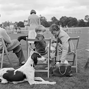 Saluki: Saluki Club
