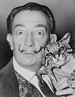 Ocelot: Salvadore Dali (1904-1989), eccentric Spanish ?