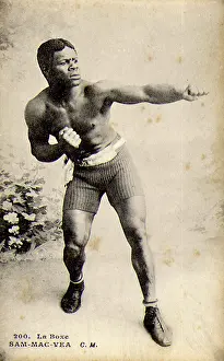 Spar: Sam-Mac-Vea, French Boxer