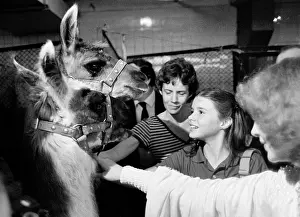 Samantha: Samantha Smith in Moscow, 1983