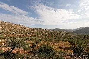 Samaria: Samaria, Levona valley