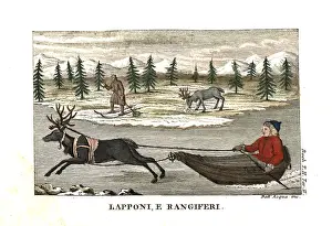 Lappland: Sami man or Lapplander in a sleigh pulled
