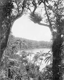 Samoa: Samoa, 1903