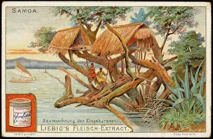 Samoan: SAMOAN TREE HOUSE