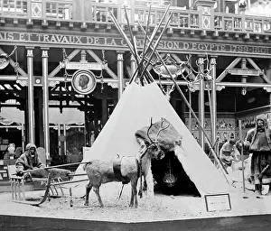 Samoyeds: Samoyedes Camp, Exposition Universelle, Paris, 1889