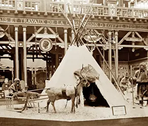 Samoyeds: Samoyedes Camp, Exposition Universelle, Paris, 1889