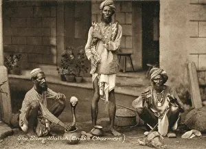Wallah: Three samp wallahs, or snake charmers