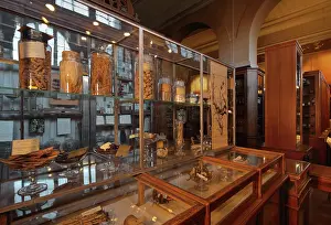 Matiere: Samples, Musee Francois Tillequin, Universite