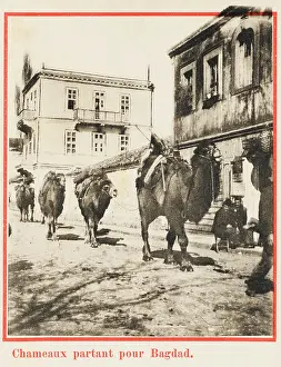 Samsunta: Samsun - Camel train leaves for Baghdad