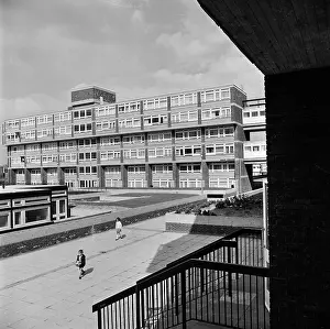 Hedley: Samuda Estate, London