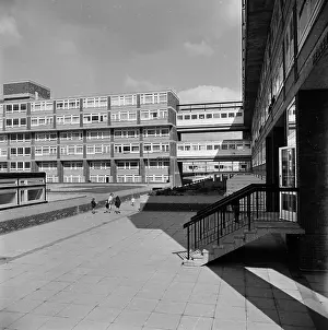 Hedley: Samuda Estate, London