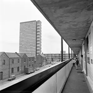 Hedley: Samuda Estate, London
