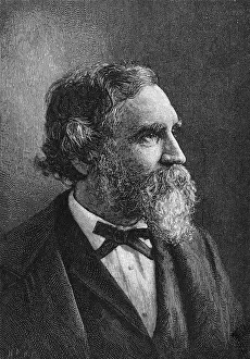 Vigorous: SAMUEL BOWLES, JOURNAL