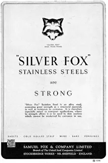 Sliver: Samuel Fox Sliver Fox Stainless Steels