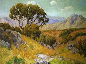 Scattered: San Diego Hills