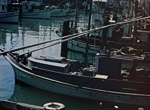 Anne Burton: San Francisco - California