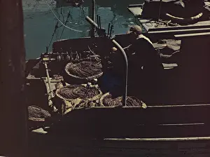 Lobsters: San Francisco - California