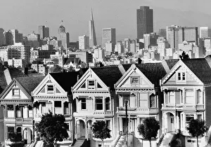 Transamerica: San Francisco cityscape
