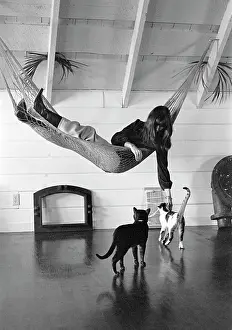 Hammock: San Francisco Loft 1969