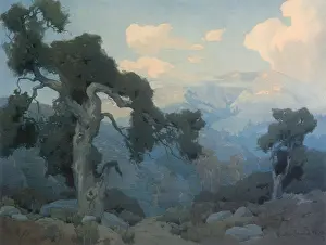 Gnarled: In San Gabriel Canyon