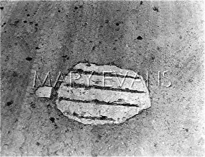 Debtors: THE SANCTUARY STONE