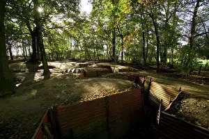 Extensively: Sanctuary Wood