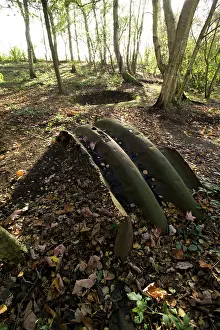 Extensively: Sanctuary Wood