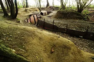Extensively: Sanctuary Wood