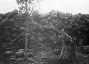 Karst: Sand baskets for the trenches, 1916
