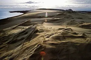 Zarembo: Sand dunes on Curonian Spit, 1996