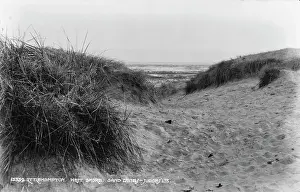 Littlehampton: Sand Dunes at Littlehampton West Shore