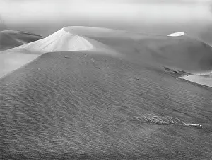 Rothstein: Sand - dunes - nature - landscape