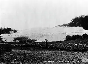 Sediment: Sand hills in Bermuda 1873