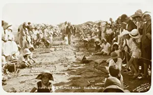 Sandcastle: Sandcastle Competition - Brisbane, Australia