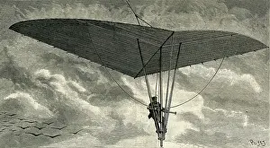 Birdmen: DE SANDERVAL'S PROJECT