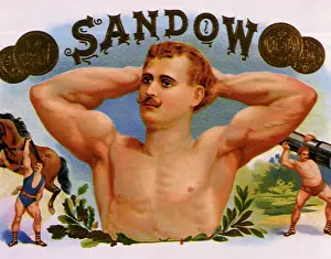 Hobbies: Sandow