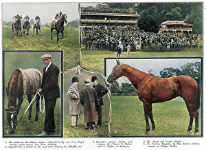 Maher: At the Sandown races