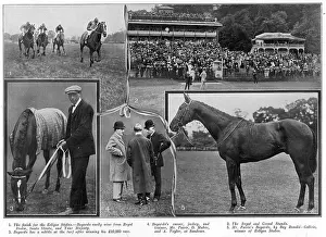 Maher: At the Sandown races