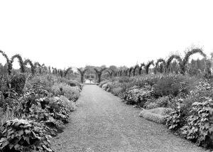 Herbaceous: Sandringham, the Herbaceous Border 1927