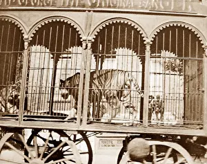 Sangers: Sangers Circus parade