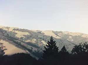 Anne Burton: above Santa Cruz - California