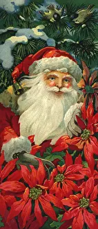 Bunches: Santa and Poinsettias