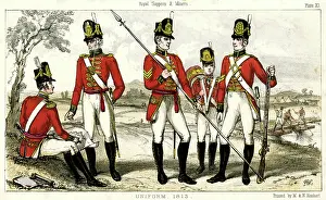 Sappers: SAPPERS & MINERS 1813