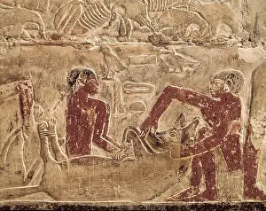 Artstico: Saqqara. Mastaba of Mereruka