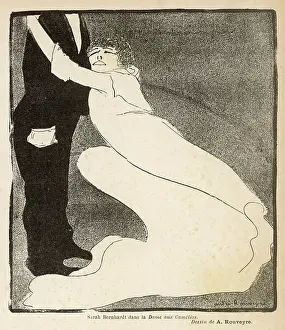 Camelias: SARAH BERNHARDT