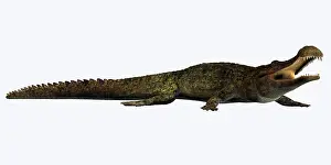 Sarcosuchus: Sarcosuchus crocodyliform from the prehistoric era